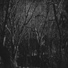 NXVXR, gam by