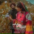 Abshari
