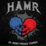 HAMR