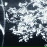 DEVNZR, LeoN1