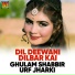 Ghulam Shabbir Urf Jharki