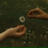 Goldmund