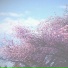 lvusm