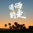 云南三怪