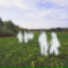 mynameisnull