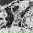 Plimmo