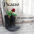 Picazzo
