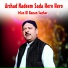 Irfan Ul Hassan Saghar