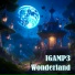 IGAMP3