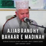 Qari Karamat Qadri