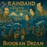 RAINBAND, ELECTRIC SHADOWS