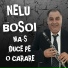 NELU BOSOI
