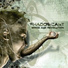Shadowcast [http: musvkontakte.ru]