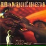 Boban Markovic Orkestar