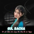 Gul Bacha