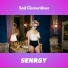 SENRGY