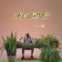 T2i