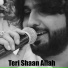 Zeeshan Khan Rokhri