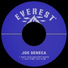 Joe Seneca