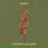 Stephen R Williams