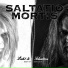 Saltatio Mortis [2011 - Sturm Aufs Paradies CD I]
