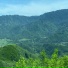 Vasco Rosia