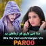Paroo