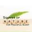 Mothers Nature Music Academy