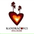 Kandracovci