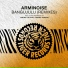 Arminoise