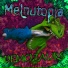 Melnutopia