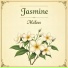 Jasmine