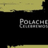 Polache