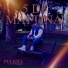 PULKRA