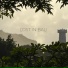Mad Twinz, Bass Ventura
