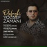 Yousef Zamani