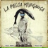 yuda amaya, truco aml