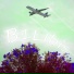B1lbis