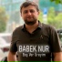 Babek Nur