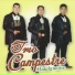 Trio Campestre Hidalguense