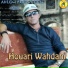 houari wahdani