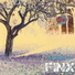 Finx