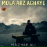 Mazhar Ali
