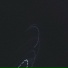 AM19
