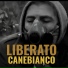 Canebianco