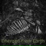 Emerged From Earth