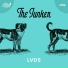 LVDS