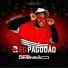 RED PAGODÃO