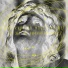 Piem