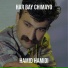 Hamid Hamidi